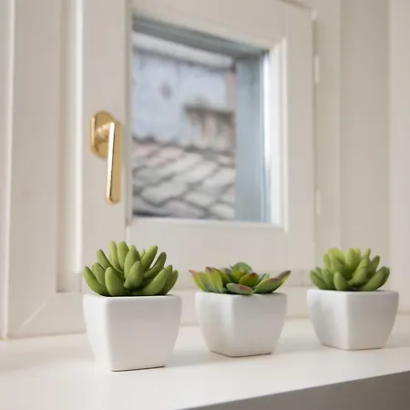 Biscione Terrace *